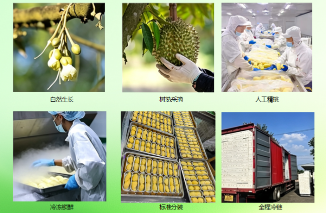 为什么选择幸运榴金枕榴莲肉
